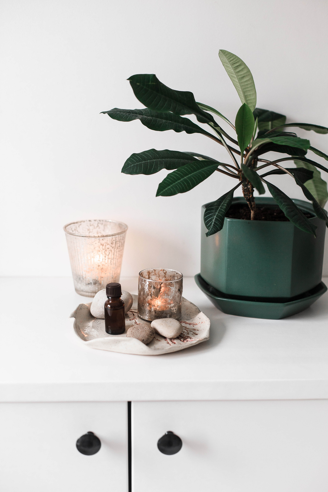 Composition of Bottle, Candles and Rocks Near a Houseplant